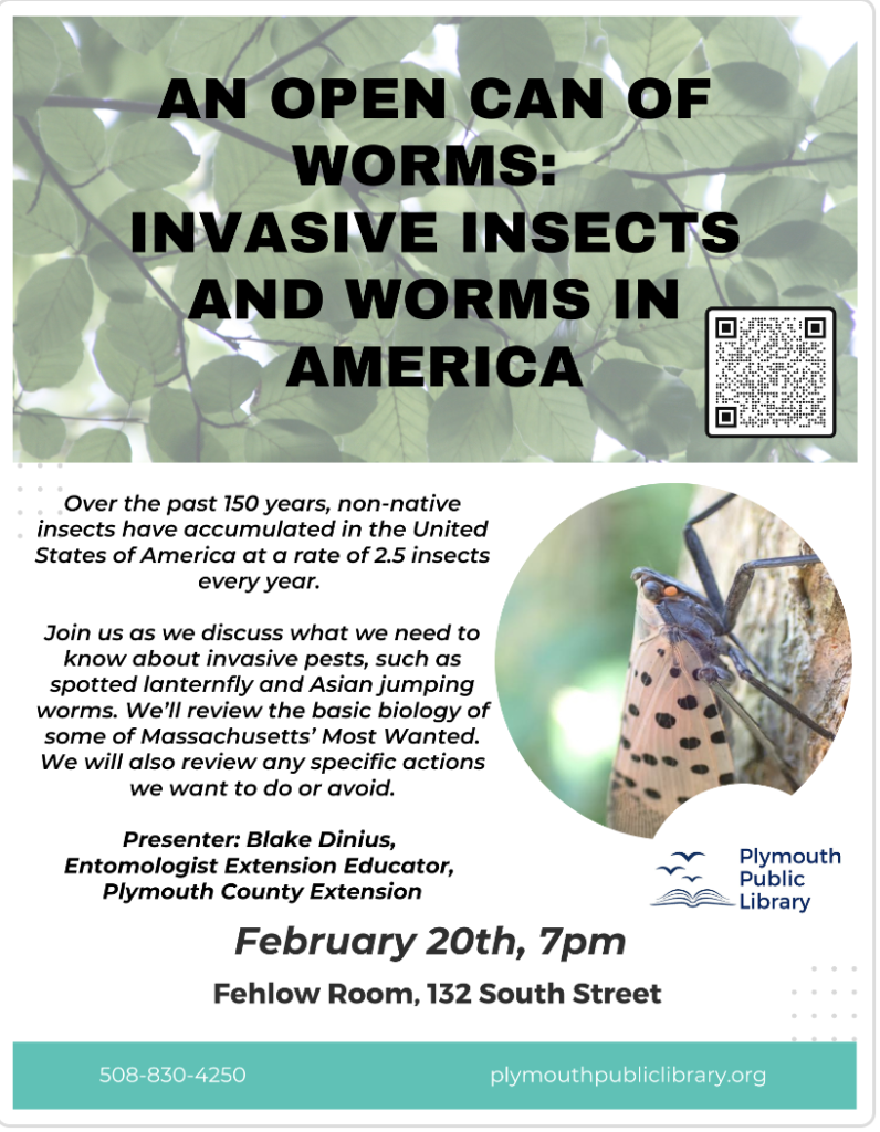 Invasive Insects, Plymouth